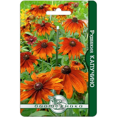 Рудбекия Капучино Биотехника артикул фото 1 Рудбекия Капучино Биотехника изображение 1 артикул 74126