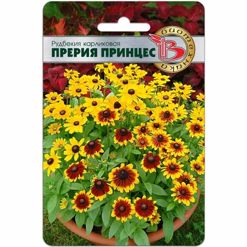 Рудбекия карликовая Прерия Принцес Биотехника артикул фото 1 Рудбекия карликовая Прерия Принцес Биотехника изображение 1 артикул 40445