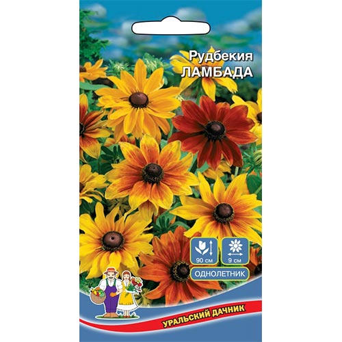Рудбекия Ламбада, смесь окрасок изображение 1 артикул 94841