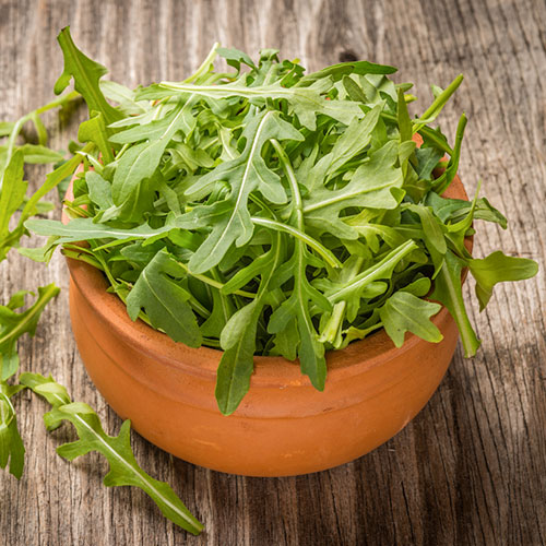 Рукола Парижанка Premium Seeds изображение 1 артикул 83817