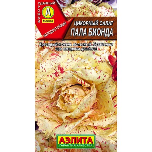 Салат цикорный Пала Бионда Аэлита артикул фото 1 Салат цикорный Пала Бионда Аэлита изображение 1 артикул 98559