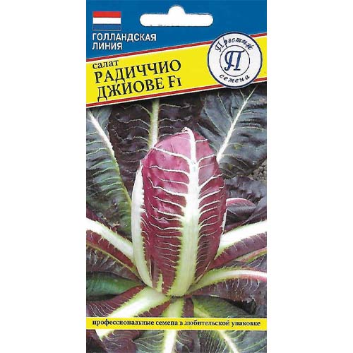 Салат цикорный Радиччио Джиове F1 Престиж изображение 1 артикул 81227