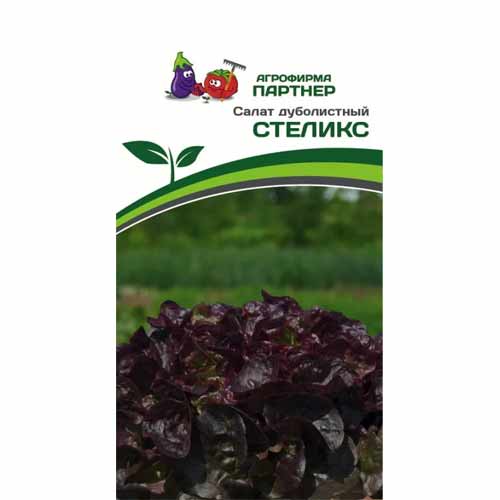 Салат дуболистный Стеликс Партнер изображение 1 артикул 88030