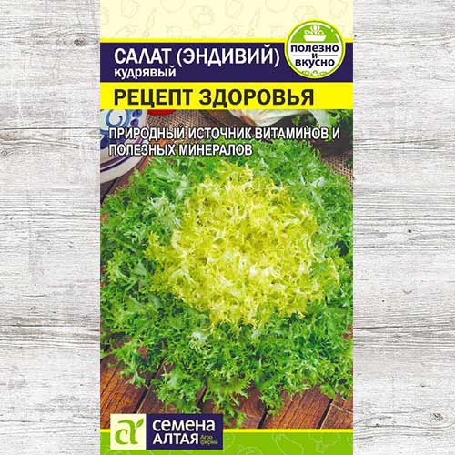 Салат эндивий Рецепт здоровья артикул фото 1 Салат эндивий Рецепт здоровья изображение 1 артикул 81564