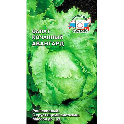 Салат кочанный Авангард, семена артикул фото 1 Салат кочанный Авангард, семена изображение 1 артикул 93533