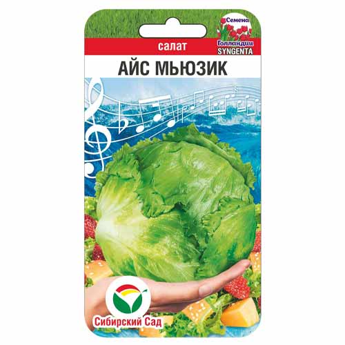Салат кочанный Айс Мьюзик Сибирский сад изображение 1 артикул 88118