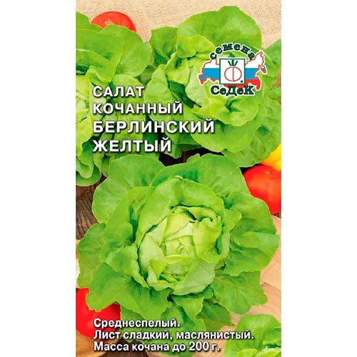 Салат кочанный Берлинский желтый, семена артикул фото 1 Салат кочанный Берлинский желтый, семена изображение 1 артикул 93534