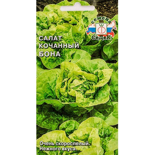 Салат кочанный Бона, семена артикул фото 1 Салат кочанный Бона, семена изображение 1 артикул 93535