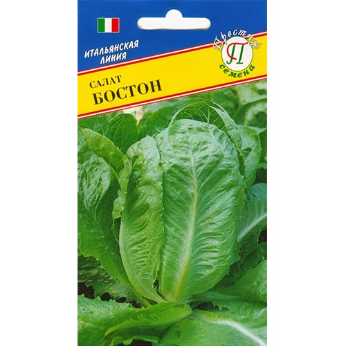 Салат кочанный Бостон изображение 1 артикул 84308