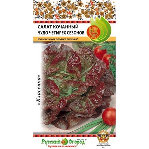 Салат кочанный Чудо 4-х сезонов, семена артикул фото 1 Салат кочанный Чудо 4-х сезонов, семена изображение 1 артикул 92366
