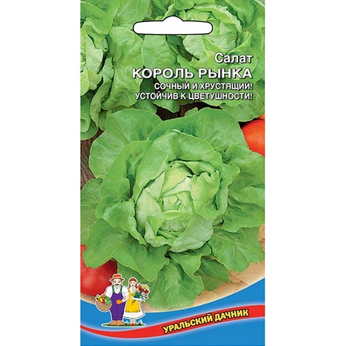 Салат кочанный Король рынка, семена артикул фото 1 Салат кочанный Король рынка, семена изображение 1 артикул 94686