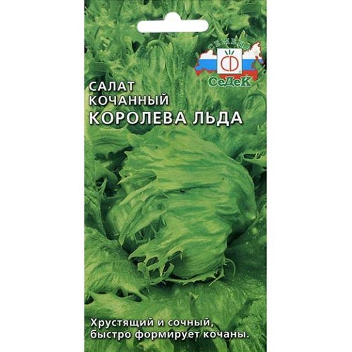 Салат кочанный Королева льда, семена изображение 1 артикул 93537