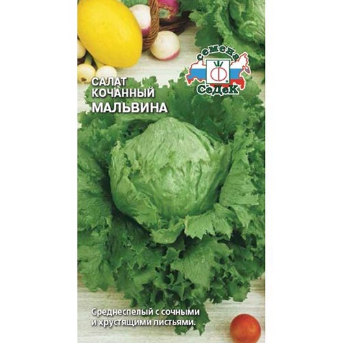 Салат кочанный Мальвина, семена артикул фото 1 Салат кочанный Мальвина, семена изображение 1 артикул 93539