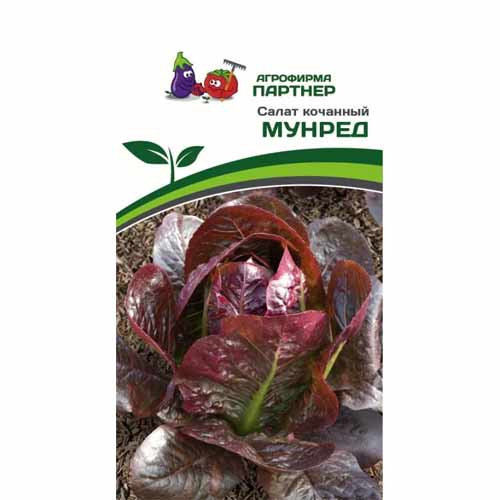 Салат кочанный Мунред Партнер изображение 1 артикул 88027