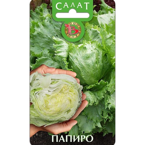 Салат кочанный Папиро, семена артикул фото 1 Салат кочанный Папиро, семена изображение 1 артикул 91526