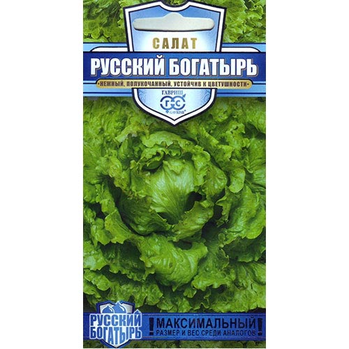Салат кочанный Русский богатырь, семена артикул фото 1 Салат кочанный Русский богатырь, семена изображение 1 артикул 91823