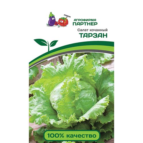 Салат кочанный Тарзан Партнер артикул фото 1 Салат кочанный Тарзан Партнер изображение 1 артикул 84849
