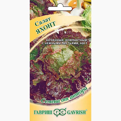 Салат кочанный Яхонт мини Гавриш изображение 1 артикул 97502