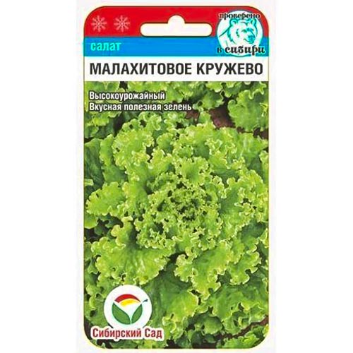 Салат кудрявый Малахитовое кружево, семена артикул фото 1 Салат кудрявый Малахитовое кружево, семена изображение 1 артикул 94386