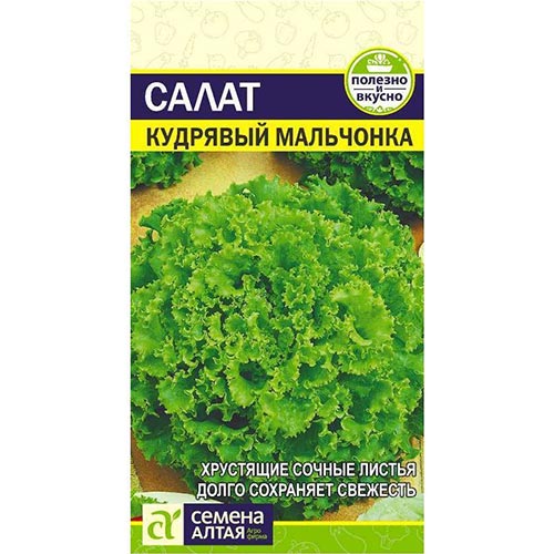 Салат кудрявый Мальчонка, семена артикул фото 1 Салат кудрявый Мальчонка, семена изображение 1 артикул 94079