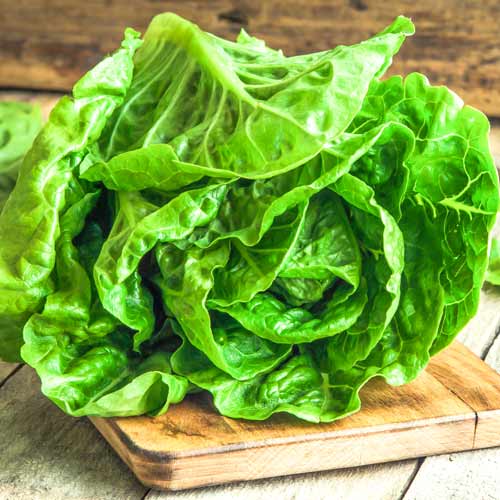 Салат Купидон изображение 1 артикул 71064