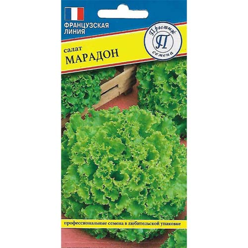 Салат листовой Марадон Престиж артикул фото 1 Салат листовой Марадон Престиж изображение 1 артикул 97950