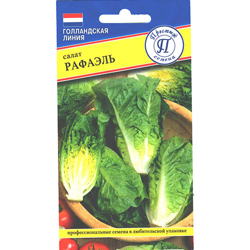 Салат кочанный Рафаэль Престиж изображение 1 артикул 85427