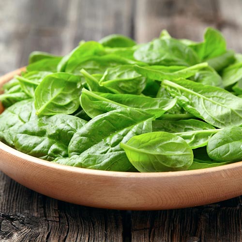 Салат листовой Русский деликатес Уральский дачник артикул фото 1 Салат листовой Русский деликатес Уральский дачник изображение 1 артикул 74234