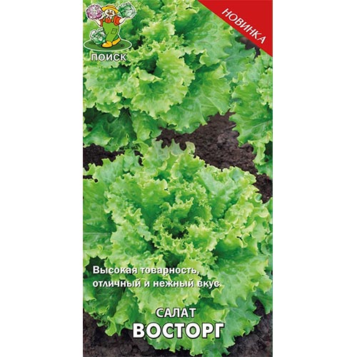 Салат листовой Восторг, семена артикул фото 1 Салат листовой Восторг, семена изображение 1 артикул 92807