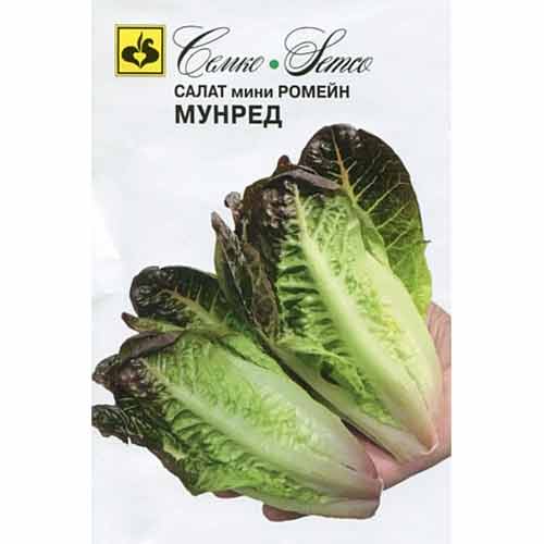 Салат кочанный мини ромейн Мунред Семко изображение 1 артикул 71938