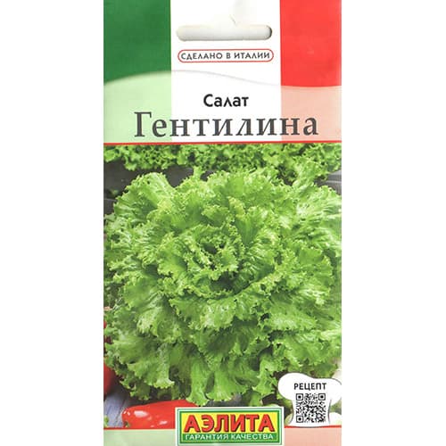 Салат полукочанный Гентилина Аэлита артикул фото 1 Салат полукочанный Гентилина Аэлита изображение 1 артикул 98553