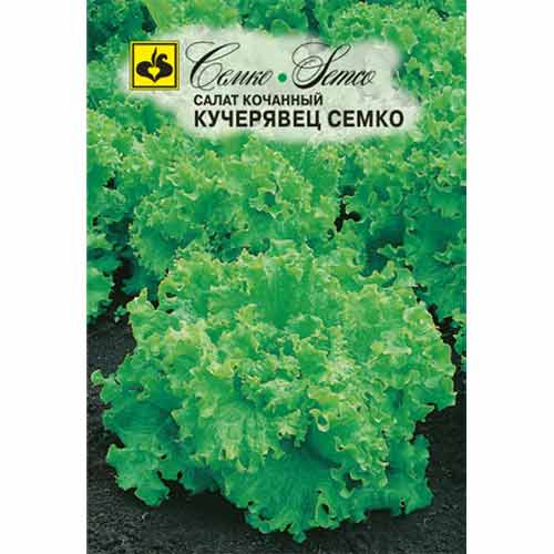 Салат кочанный Кучерявец Семко изображение 1 артикул 82653