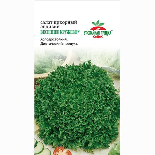 Салат эндивий Весеннее кружево Седек изображение 1 артикул 71671