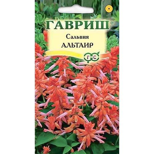 Сальвия Альтаир, семена изображение 1 артикул 92214