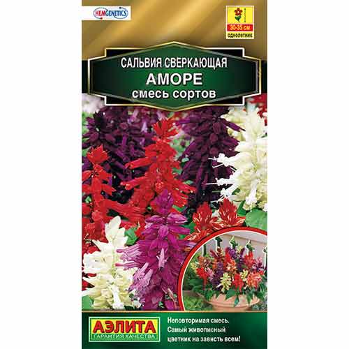 Сальвия Аморе Аэлита изображение 1 артикул 99146