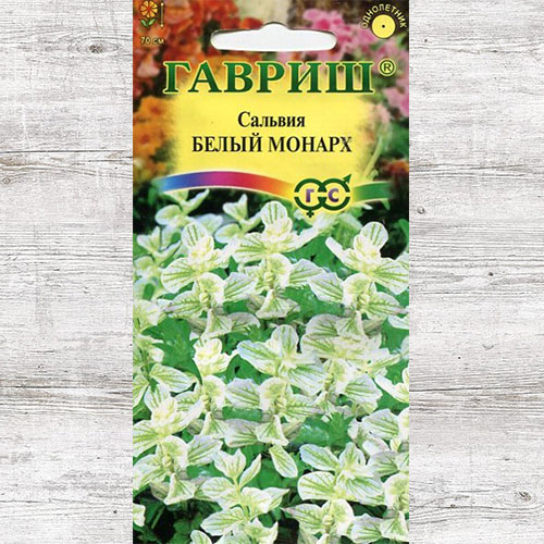 Сальвия Белый монарх Гавриш изображение 1 артикул 73904