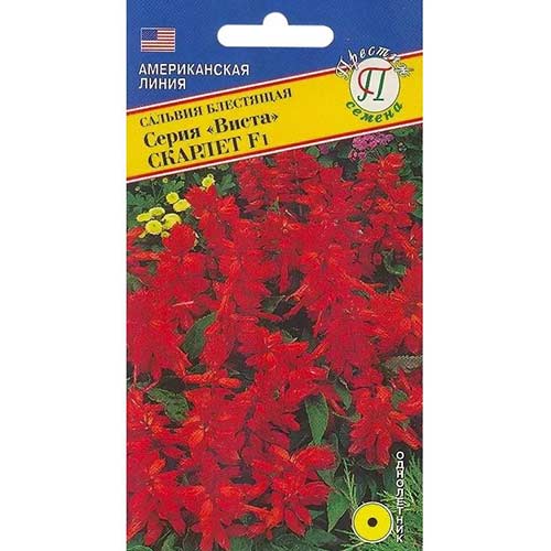 Сальвия Виста Скарлет F1 Престиж изображение 1 артикул 81408