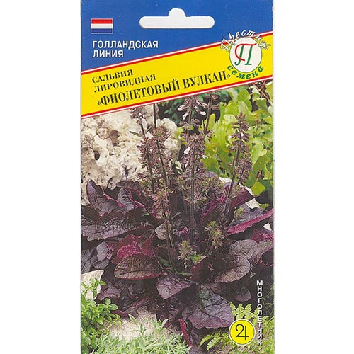 Сальвия Фиолетовый вулкан, семена изображение 1 артикул 93242