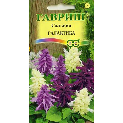 Сальвия Галактика, смесь окрасок изображение 1 артикул 71247