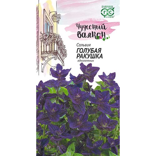 Сальвия Голубая ракушка, семена изображение 1 артикул 92216