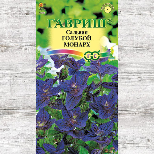 Сальвия Голубой монарх Гавриш изображение 1 артикул 73905
