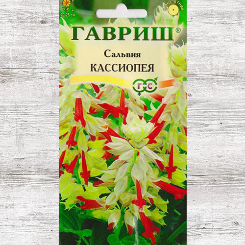 Сальвия Кассиопея Гавриш изображение 1 артикул 73906