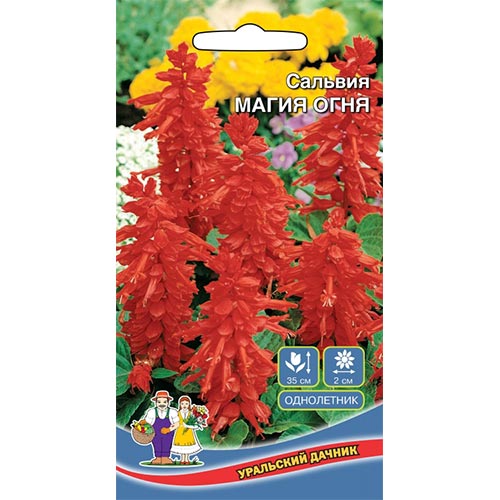 Сальвия Магия огня, семена изображение 1 артикул 94842