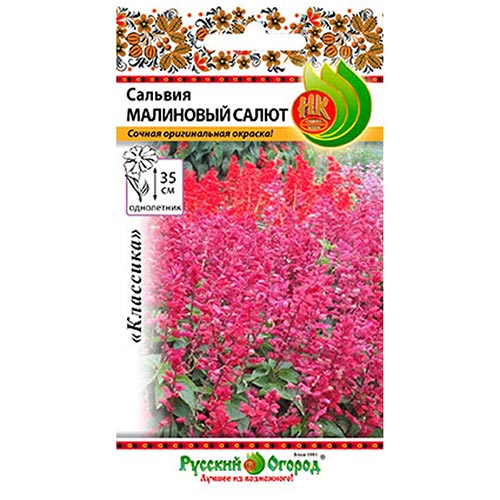 Сальвия Малиновый салют F1, семена изображение 1 артикул 92624