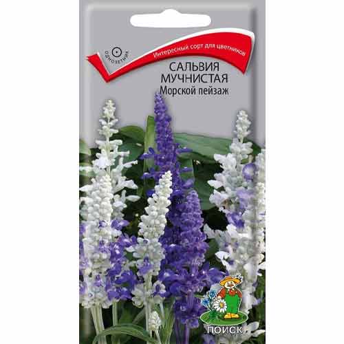 Сальвия Морской пейзаж, смесь окрасок Поиск изображение 1 артикул 93109