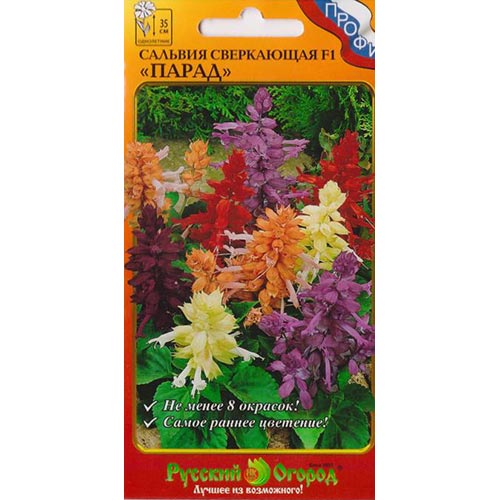 Сальвия Парад F1, смесь окрасок изображение 1 артикул 92626