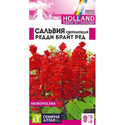 Сальвия Редди Брайт Ред Семена Алтая изображение 1 артикул 81786