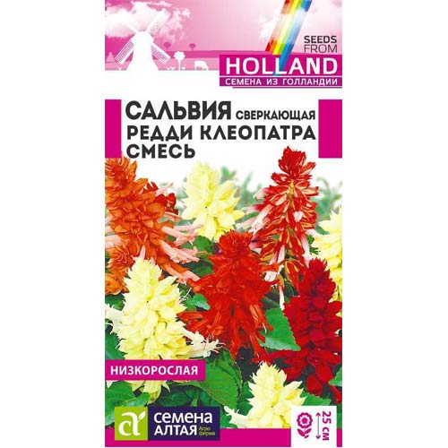 Сальвия Редди Клеопатра, смесь окрасок Семена Алтая изображение 1 артикул 81788