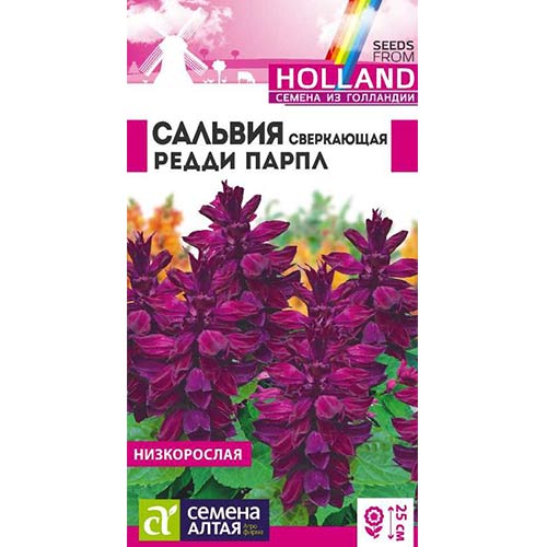 Сальвия Редди Парпл Семена Алтая изображение 1 артикул 81789