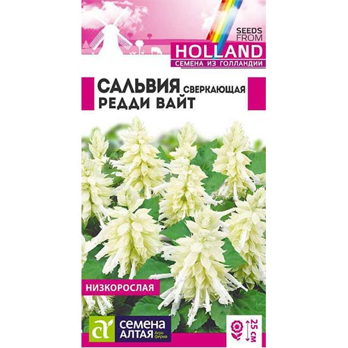 Сальвия Редди Вайт Семена Алтая изображение 1 артикул 81787